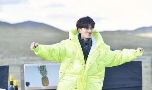 娱乐吃瓜任嘉伦,娱乐吃瓜界的“瓜王”